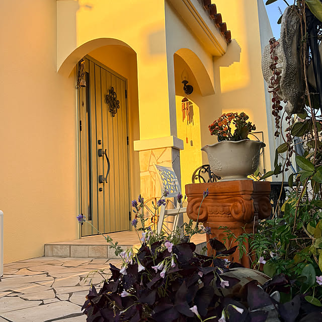 bu-bu-chanさんの部屋