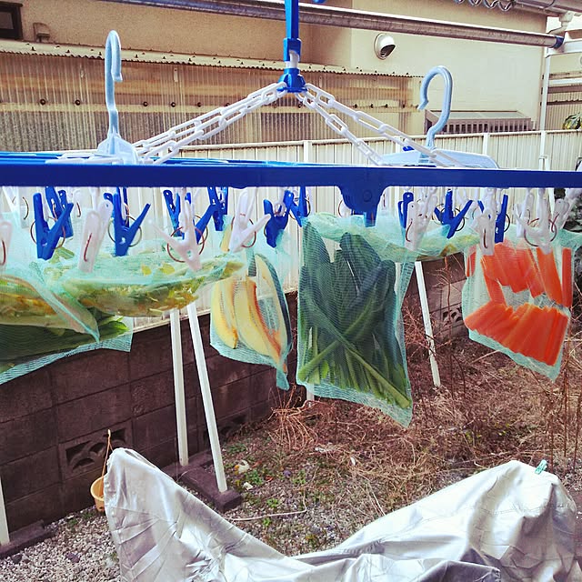 WASABIさんの実例写真