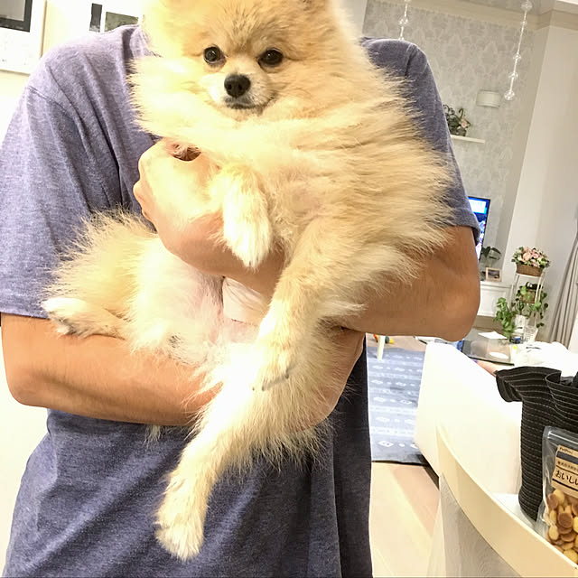 MAKARONさんの実例写真