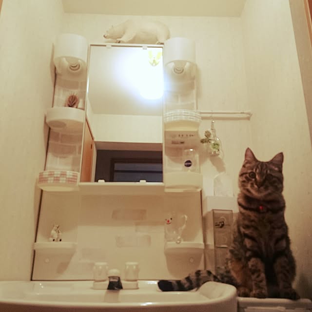 umecchuさんの実例写真