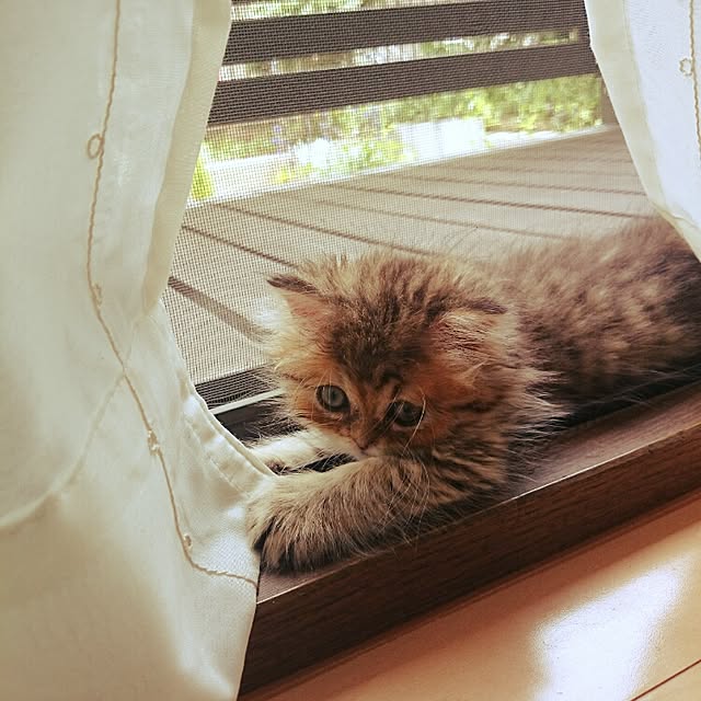 hanaさんの実例写真