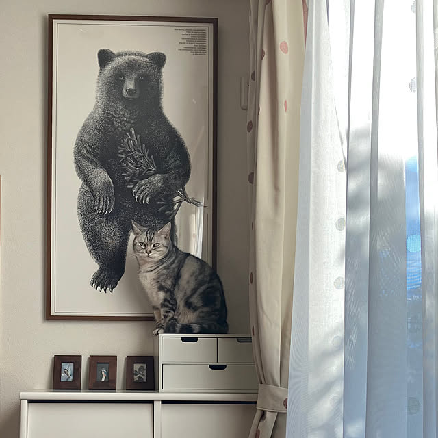 RARAさんの実例写真