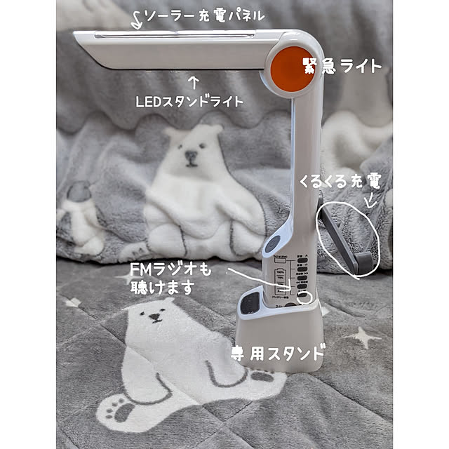 junさんの実例写真