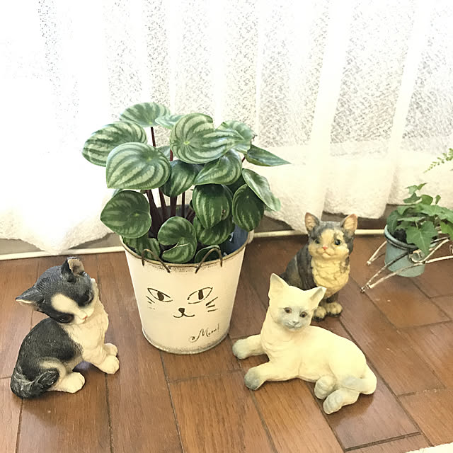 yukarinさんの実例写真