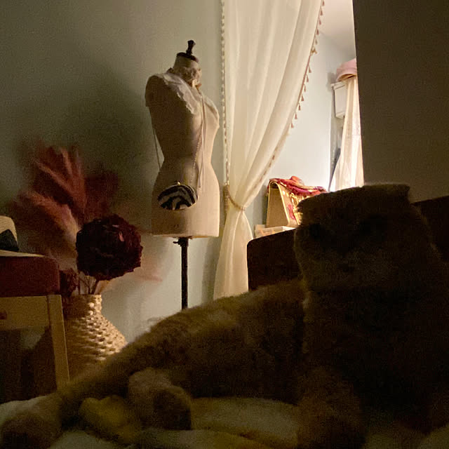 Mahoさんの部屋