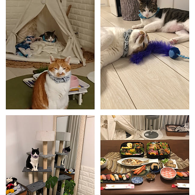 mikenekoさんの実例写真