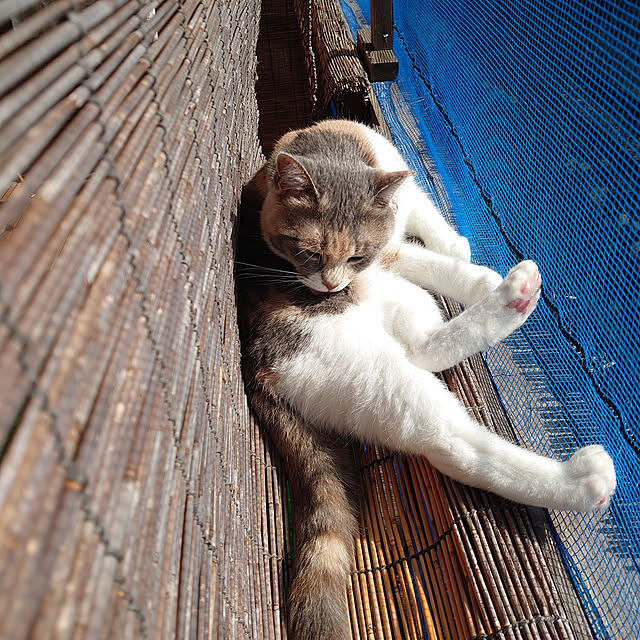 fukuさんの実例写真