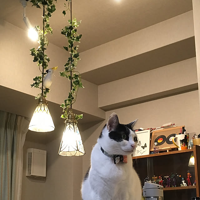 hanaさんの実例写真