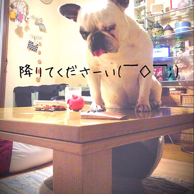 38coreさんの実例写真