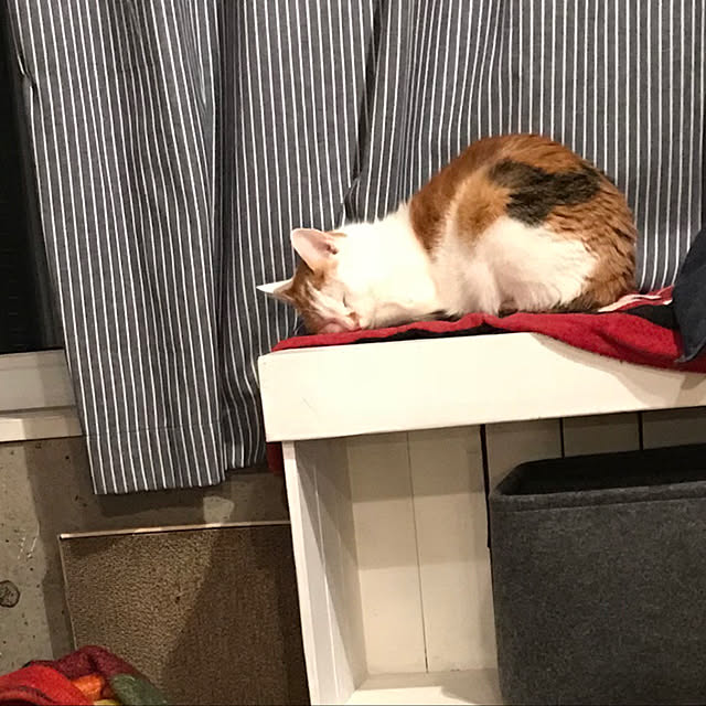 ziziguguさんの実例写真