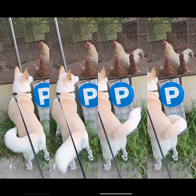 tanboさんの部屋