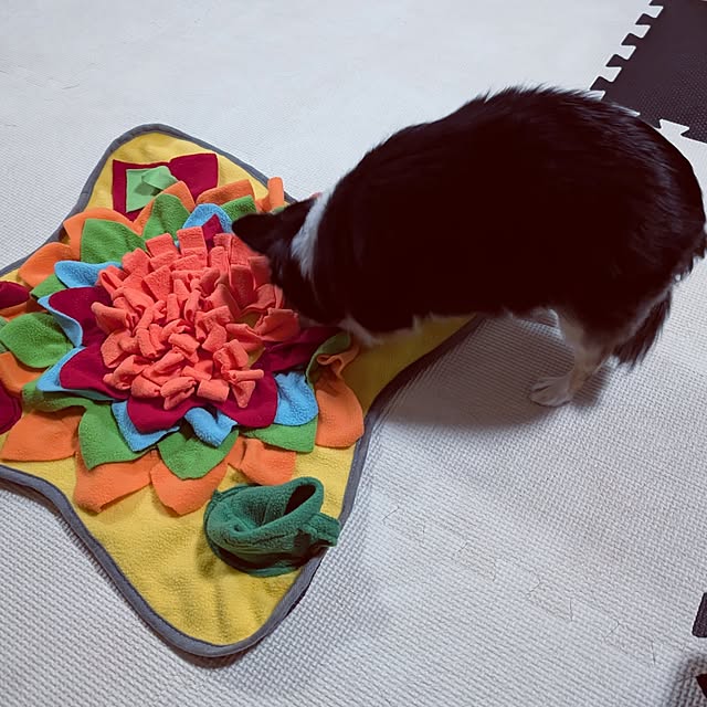 makiさんの実例写真