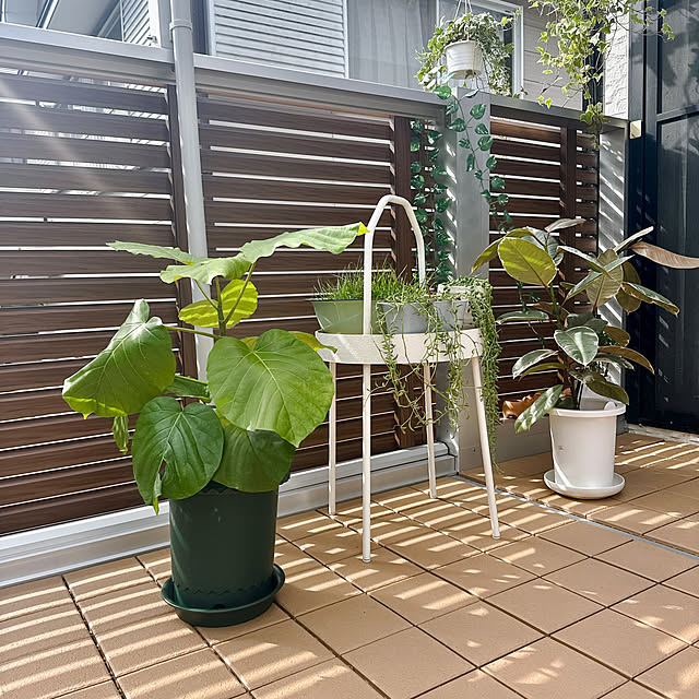 miyuさんの実例写真