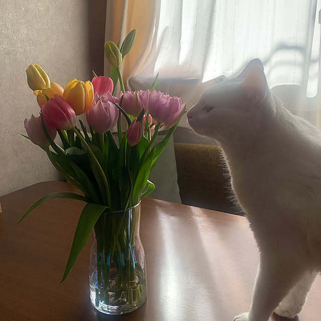 keiさんの実例写真