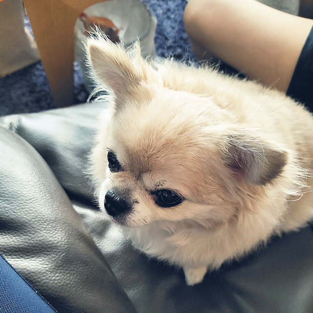 kiraさんの実例写真