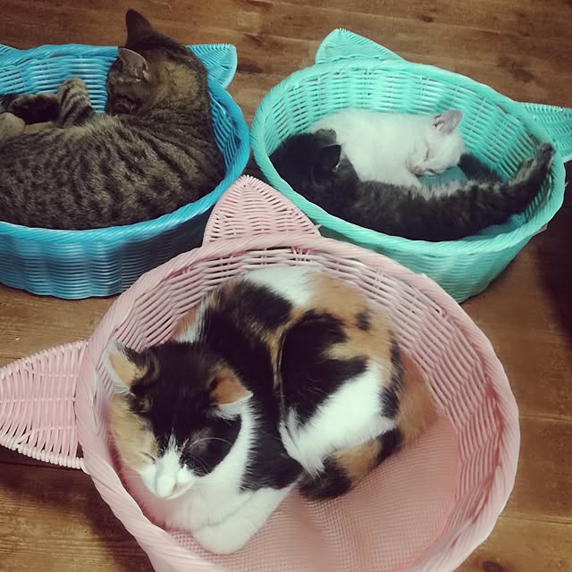 Maki-nekomamireさんの実例写真