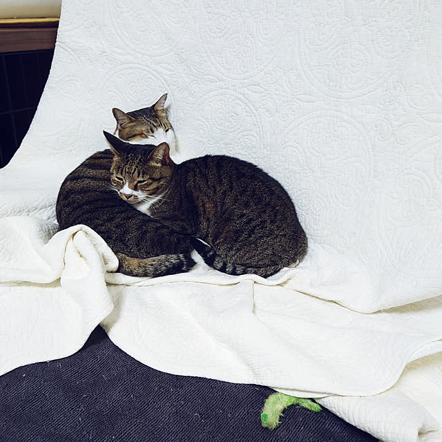 nachiさんの実例写真