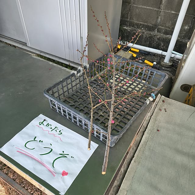 Rubiconさんの部屋