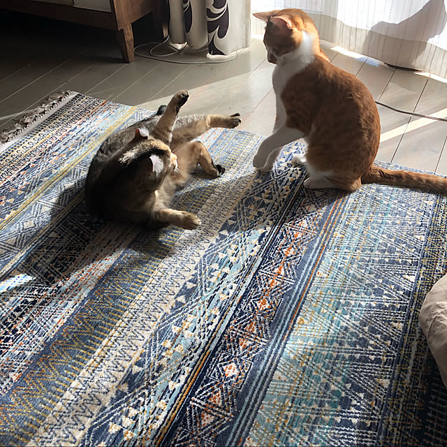 Emiさんの実例写真