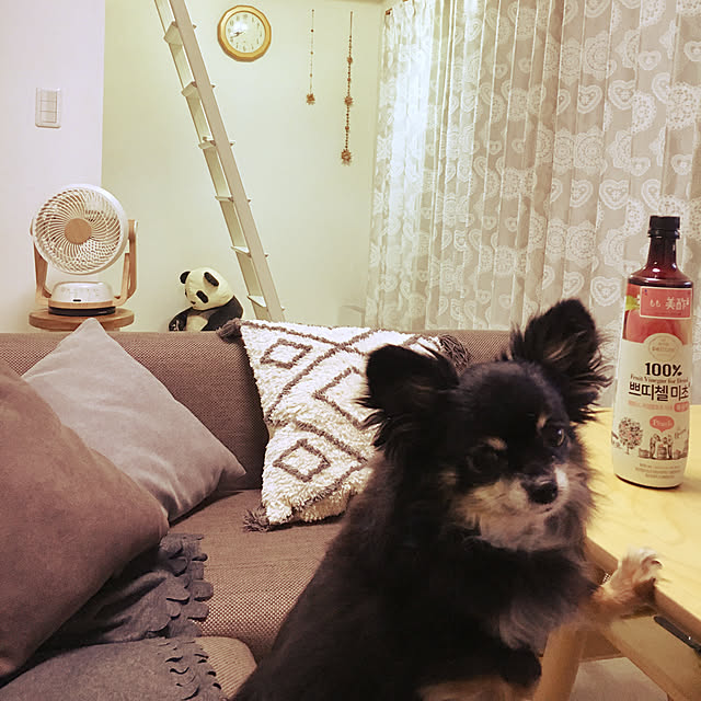 cocoさんの実例写真