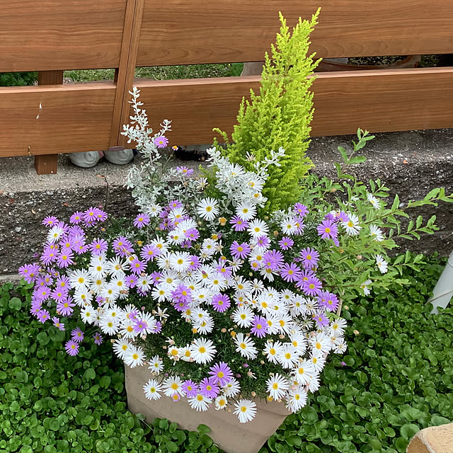 haruminさんの部屋