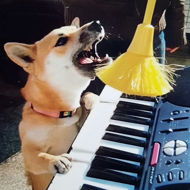 nanaさんの実例写真