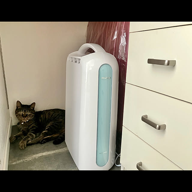 ayataroさんの実例写真