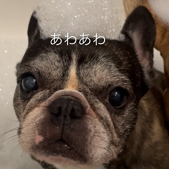 SIELUさんの部屋