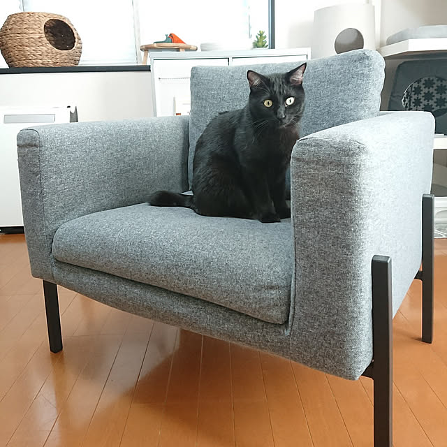 maikyさんの実例写真