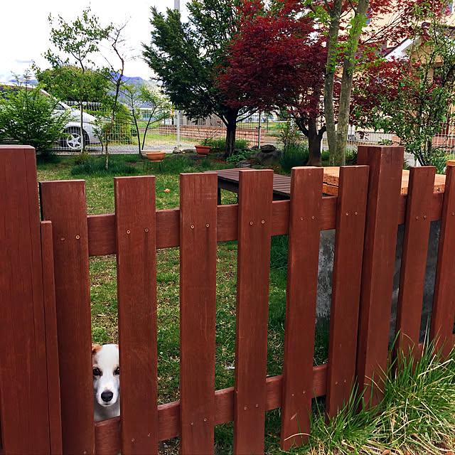 nanaさんの実例写真