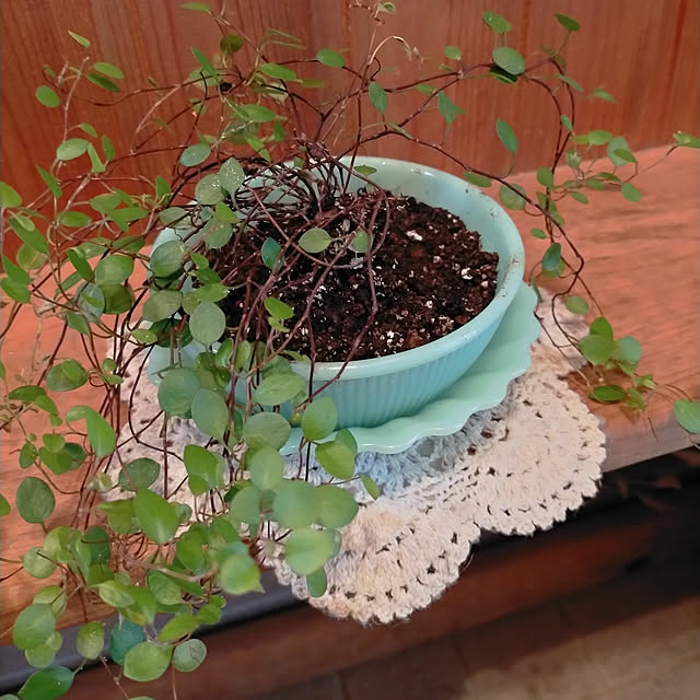 michiさんの実例写真