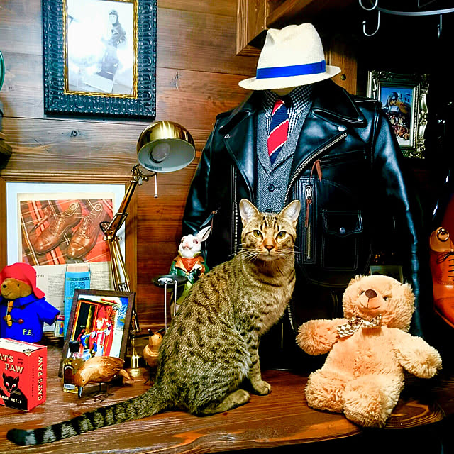 ken.kawakamiさんの実例写真