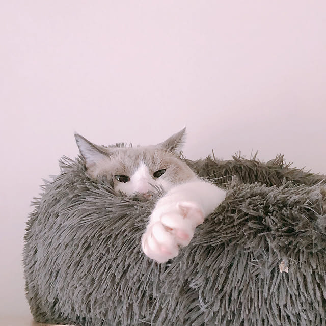 milkcocoaさんの実例写真
