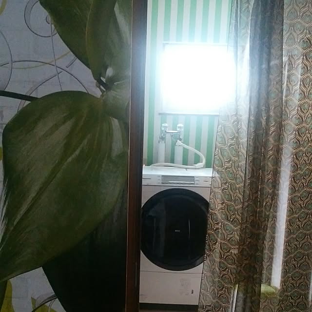 yucchanさんの実例写真