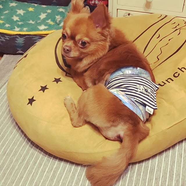 omemu.f.dさんの実例写真