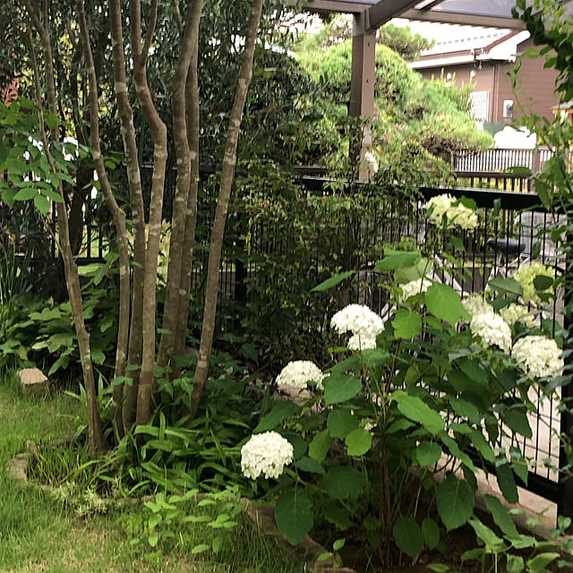 soranoiroさんの実例写真