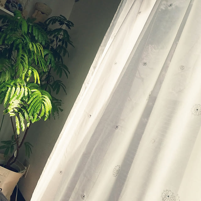 mimi828さんの実例写真