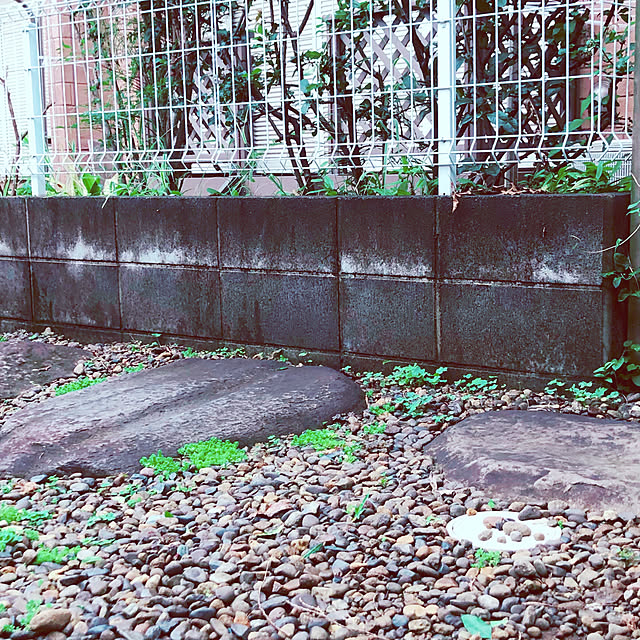 chacoさんの実例写真