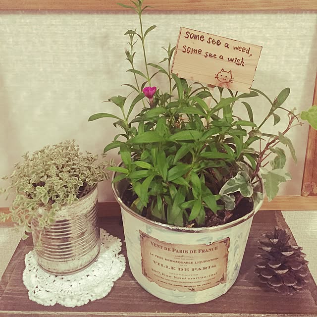 amandaさんの実例写真