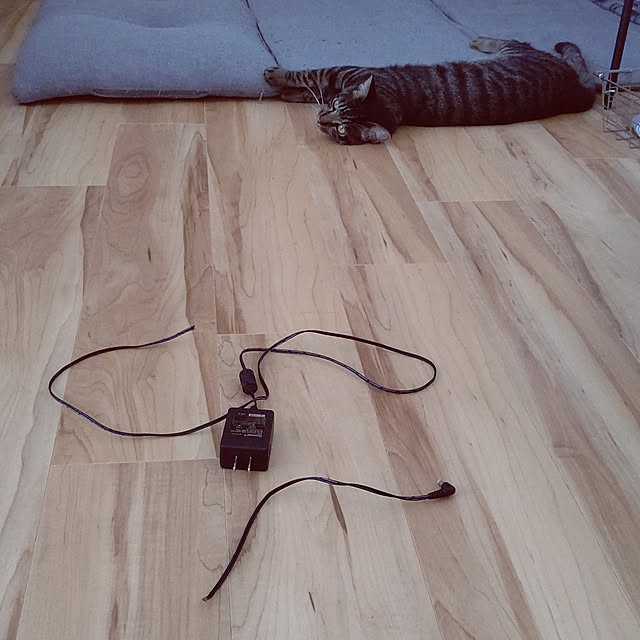 hihaさんの実例写真