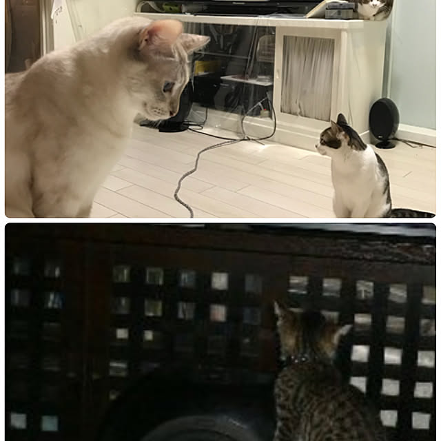 merisannさんの実例写真