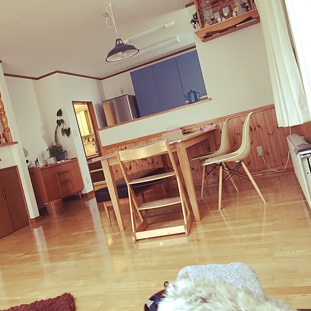 kotaroさんの実例写真