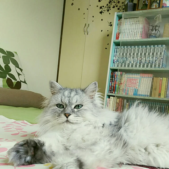 hanayoiさんの実例写真