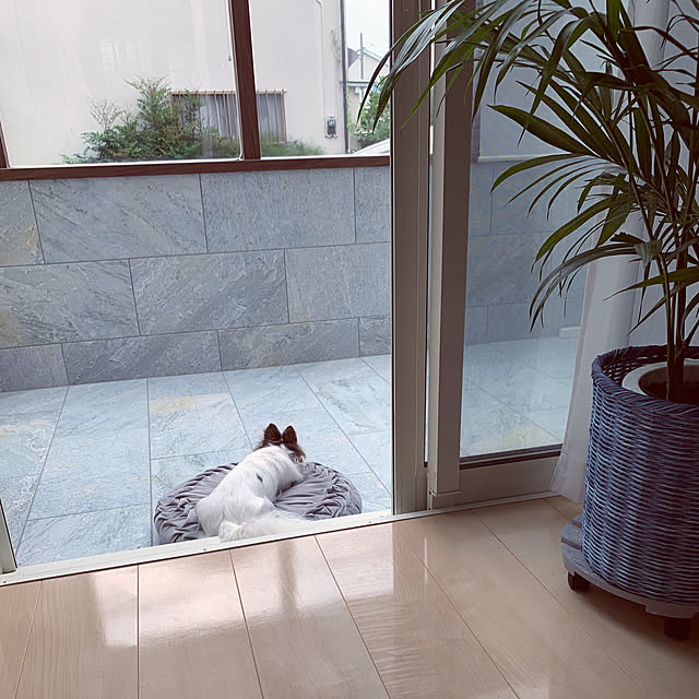 makoさんの実例写真