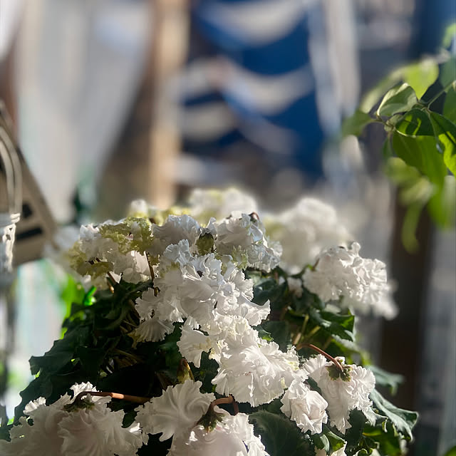 na-chanさんの部屋