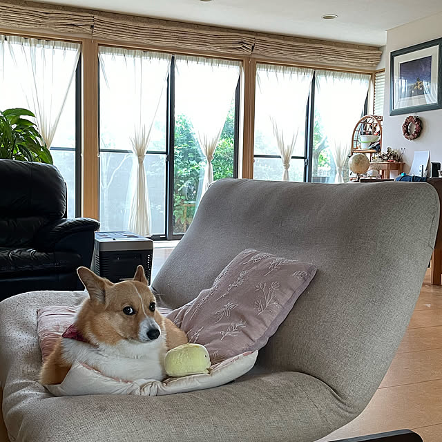 tenntennさんの実例写真