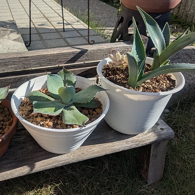 tototo..12.さんの部屋