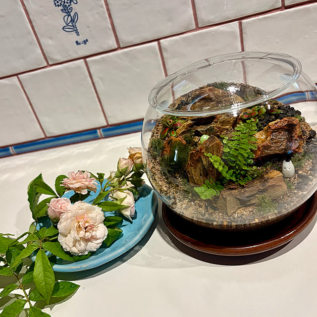 cotaさんの部屋
