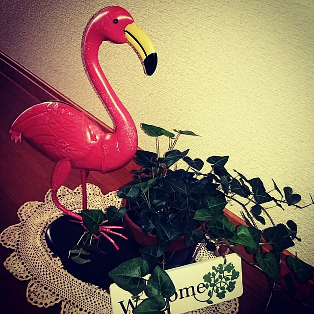 yuriaさんの実例写真