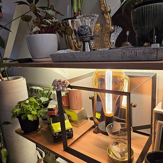 nonbiri_house_さんの部屋